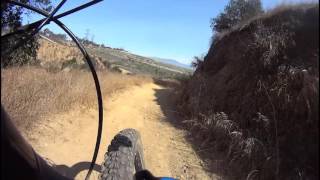 Rattlesnake and Native Oak trails.