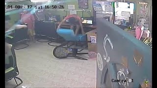 faze tari sarpele intra inauntru