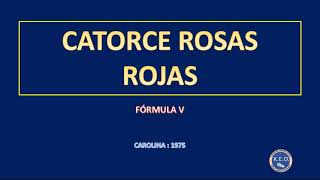 Formula V + Catorce Rosas Rojas (karaoke)