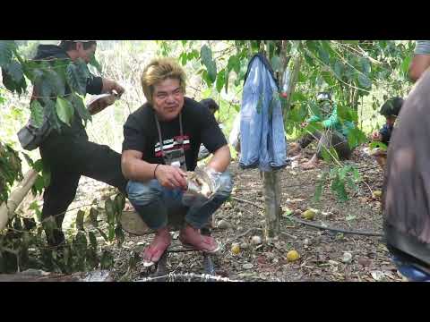 Why igorots don't use spices in our meat?(WATWAT CULTURE)