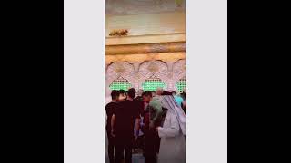 ديوانك حلم كل عاشك ستوريات ملا مسلم الوائلي تصاميم شباك الامام الحسين ع