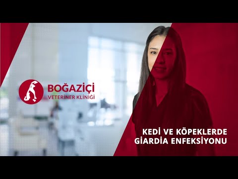 honnan származik a giardiaza?