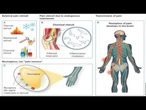 Spotkania Krakowskiej Grupy Wsparcia - 30.10.2018 -dr med. Magdalena Kocot-Kępska