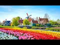 Wonders Of The Netherlands Windmills Villages Magical Canals Never Seen Before
