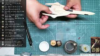 ハセガワ1/72　YF-19製作中 塗装の10　スミ入れ！