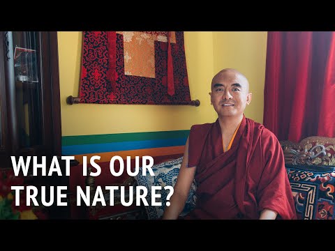 What Is Our True Nature? | Mingyur Rinpoche