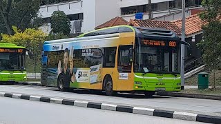 (Difflam Full Body Advertisement) SMB3041Y(SEDEP) On Service 860 At Yishun Avenue 9