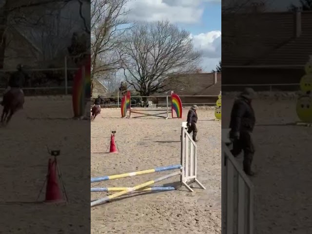 Poney taille B &agrave; louer 