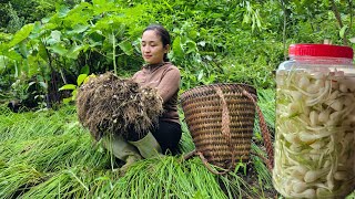 Download lagu Taking care of harvesting and processing dishes from onions - Phan's simple life on the farm mp3