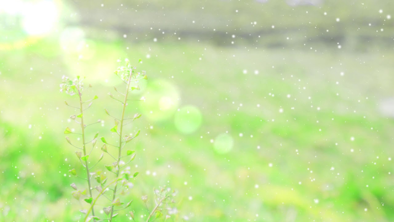 1月〇〇日　/　初音ミク