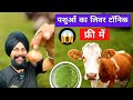 Make Liver Tonic For Animals From Home Kitchen Ayurvedic Liver Tonic How To Make Animal Live