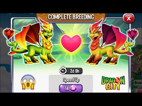 Dragon City: Autumn Dragon vs Nature Dragon [EXCLUSIVE BREEDING] 😱