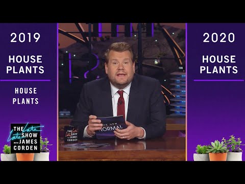 2019 v 2020: Trump's Tax Returns, Cupcakes