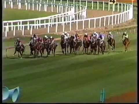 1985 Golden Slipper/Rosehill Guineas/Tancred Stakes/George Ryder