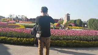 preview picture of video 'Houli Flower farm,Taichung Taiwan.'