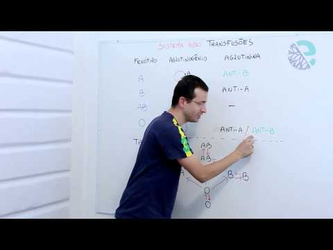 Sistema ABO: transfusões