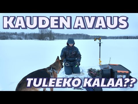 Talven eka pilkkireissu – löytyykö kaloja?