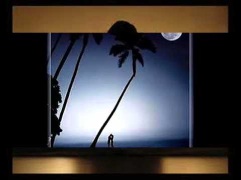 Special F ft. Dardan a.k.a. D.ONE - E Vetmja.wmv