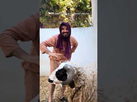 جارتكم النسناسه و علوش العيد