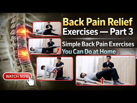Back Pain Relief Exercises — Part 3 | Simple Back Pain Exercises You Can Do at Home