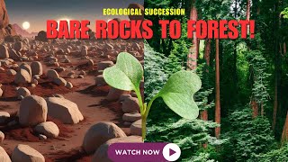 Concept of Ecological Succession | Ecology