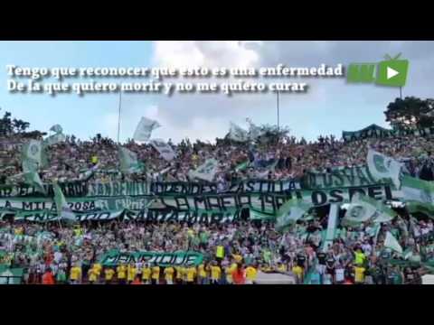 "LA HINCHADA VERDOLAGA ANTE ALIANZA PETROLERA" Barra: Los del Sur &bull; Club: Atlético Nacional