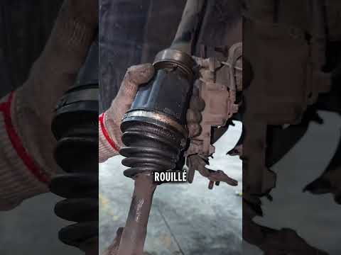 Je répare cette voiture je suis mécano, et cette femme ma choqué trois garagiste ont refusé