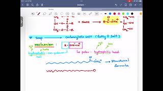 สบู่ และการทำงานของสบู่ (ฺBy อ.กฤตน์)