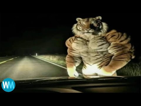 Top 5 Unexpected Momentos