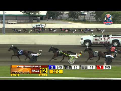 2015 Hambletonian Oaks - Wild Honey - August 8, 2015