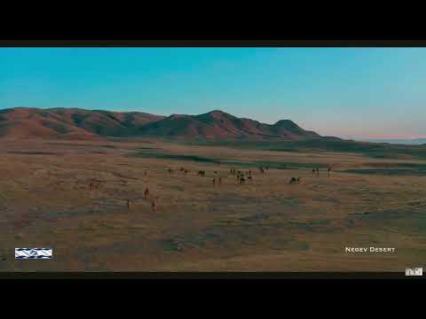 Umilința, Slujirea și Recunoștința: Călăuze pentru O Viață Creștină Autentică în Dragostea și Înțele