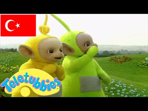 Teletubbies Türkçe | baykuş baykuşları | Sezon 01 bölüm 12 | Çocuklar için Çizgi Filmler