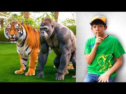 Animals Stories for kids | Educational Adventure & Learn Animal Names with Jason