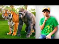 Animals Stories For Kids Educational Adventure Learn Animal Names With Jason