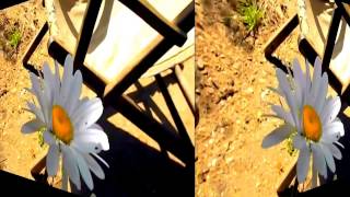 JJ CALE -  MY BABY AND ME