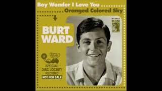 &quot;Boy Wonder I Love You&quot; Music Video (Burt Ward / Frank Zappa)