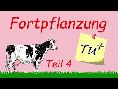 , title : 'Fortpflanzung - Teil 4 | Podcast | Kuhles zum Kauen'