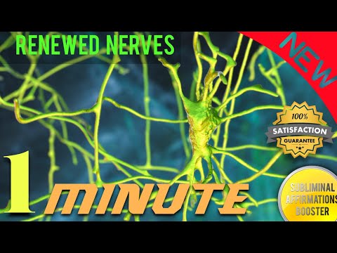 Nerve Regeneration + Nerve Repair and Protection