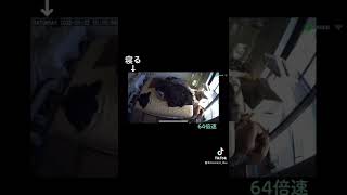 お留守番の30分間。미어캣(meerkat)#shorts