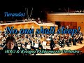 Puccini Turandot "No one shall sleep!" (Nessun dorma)  English Subtitles
