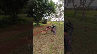 360° Psytrance Dance to &#39;Take What You Want&#39; – Feel the Beat! 🎧🔥#shorts #music #dance #psytrance