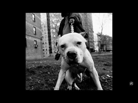 Assoc’ 2 Malfrats - Style Libre (Feat Zeph 6zu)[CLIP OFFICIEL]