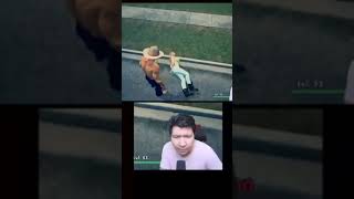 Download lagu Momen Windah Pengen Nge sus Malah Ditabrak Mobilš #windahbasudara #shorts #sus mp3 Download lagu Momen Windah Pengen Nge sus Malah Ditabrak Mobilš #windahbasudara #shorts #sus mp3