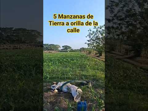 5 manzanas de Tierra en venta Trocha del Tigre nueva Concepción Escuintla