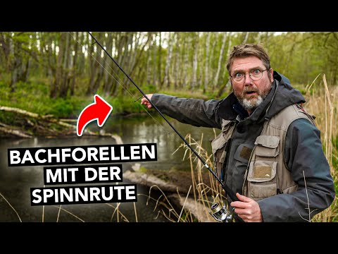 So fängst du deine erste Bachforelle am Bach! 🎣 (inkl. Ausrüstung, Köder und Technik)