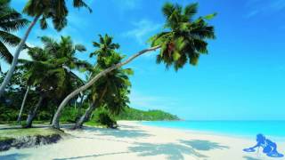 EDX - Belong (Original Mix)