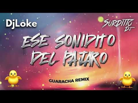 Ese Sonidito Del Pajaro (Guaracha Remix) - Surditto DJ Feat. Dj Loke - [ El Canto Del Bird ]
