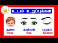 மனித உடல் உறுப்புகள் Learn Body Parts Name In Tamil And English 