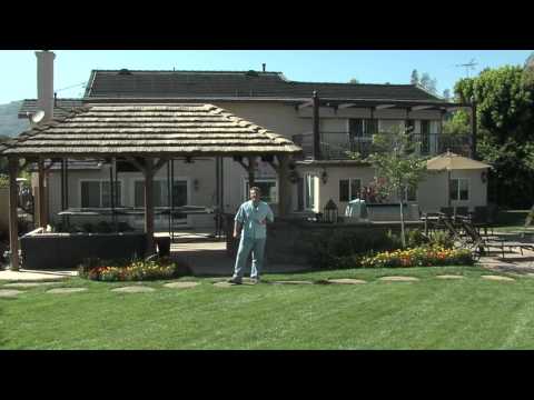 download lagu mp3 mp4 Palapa Designs, download lagu Palapa Designs gratis, unduh video klip Palapa Designs