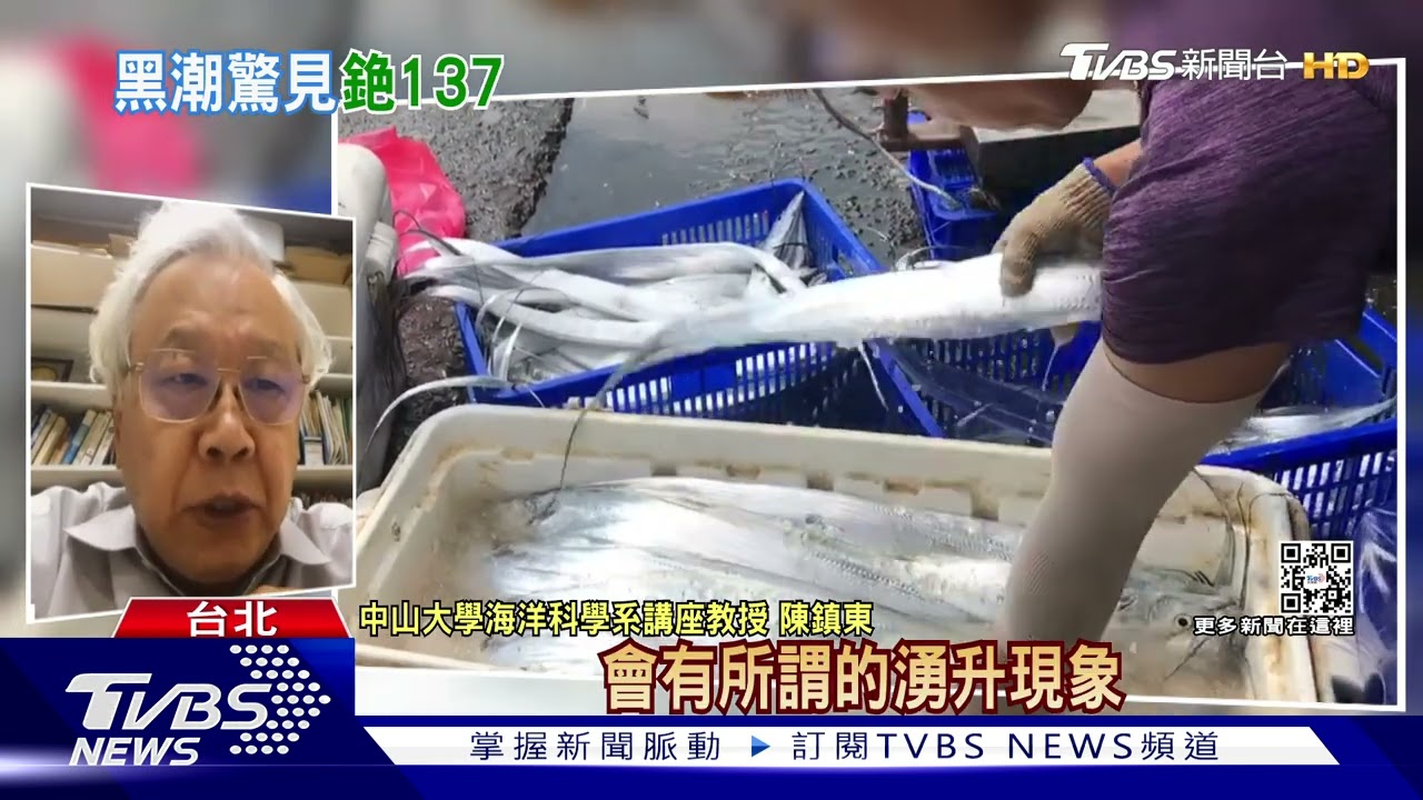 最新研究！學者發現黑潮深處含大量銫137　魚蝦恐吸收